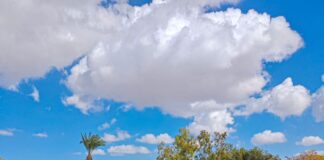 ΕΤΑΠ Λευκωσίας-The Landmark Nicosia ενώνουν δυνάμεις για την ανάδειξη της τουριστικής εμπειρίας της πρωτεύουσας Venetian Walls