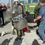 Astynomia platykampos2