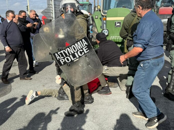 Astynomia platykampos2