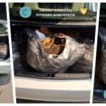 Προσπάθησε να περάσει 200 κιλά κόκκαλα και δέρματα ζώων από το οδόφραγμα του Αγίου Δομετίου (ΦΩΤΟ) Cache 1300x500 Analog medium 1347999 436613 25 11 07