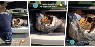 Προσπάθησε να περάσει 200 κιλά κόκκαλα και δέρματα ζώων από το οδόφραγμα του Αγίου Δομετίου (ΦΩΤΟ) Cache 1300x500 Analog medium 1347999 436613 25 11 07