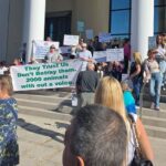 Διαμαρτυρία στην Πάφο για απομάκρυνση του Καταφυγίου Ζώων Cache 1300x500 Analog medium 1350447 484375 25 11 14