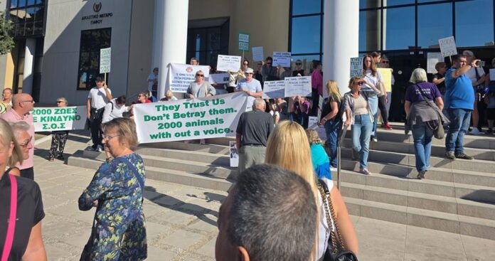 Cache 1300x500 Analog medium 1350447 484375 25 11 14