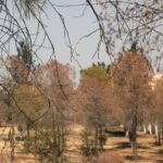 Προύντζος: Κάθετη η απόρριψη σχεδιασμού της Πολεοδομίας για δρόμο μέσα από πάρκα Αθαλάσσας και Ακαδημίας Cache 1920x1080 Crop high 182029 1110746