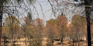 Προύντζος: Κάθετη η απόρριψη σχεδιασμού της Πολεοδομίας για δρόμο μέσα από πάρκα Αθαλάσσας και Ακαδημίας Cache 1920x1080 Crop high 182029 1110746