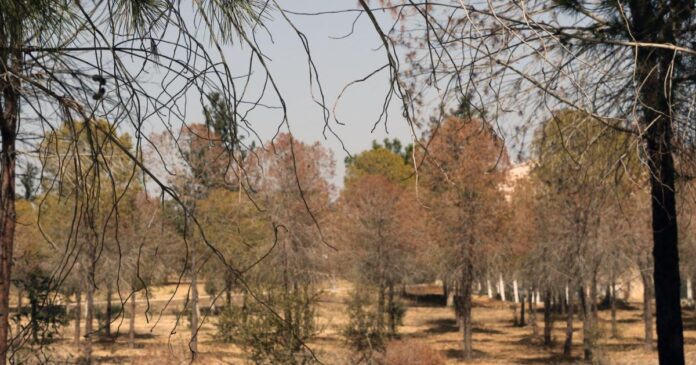 Cache 1920x1080 Crop high 182029 1110746