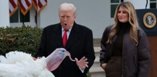 Ημέρα Ευχαριστιών: Ο Τραμπ απένειμε χάρη σε δύο γαλοπούλες – Τα «καρφιά» για Πελόζι και Σούμερ Galopoula 696x464