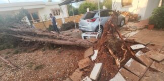 Συνολικά 26 κατοικίες υπέστησαν ζημιές από τον ανεμοστρόβιλο στο Αυγόρου Image