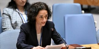 Μ. Μιχαήλ: Η UNFICYP παραμένει απαραίτητη όσο το ένα τρίτο της Κύπρου παραμένει υπό κατοχή Maria mixail ohe