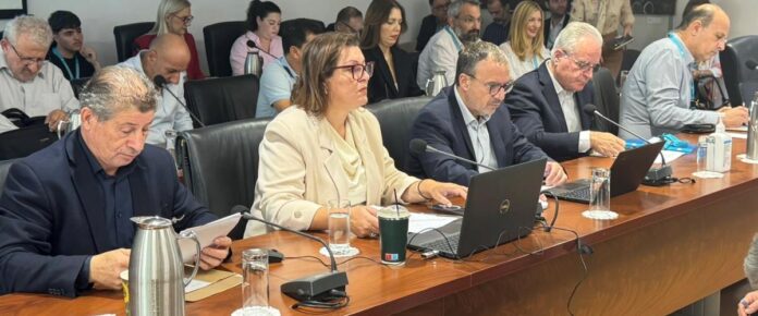 Mixailidou vouli 05112025