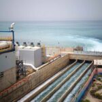 Nero afalatosi ID 637982