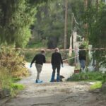 Salamina dolofonia 696x464