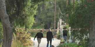 Στο Δικαστικό Μέγαρο Πειραιά η 46χρονη που δολοφόνησε την πεθερά της – Τα τρία στοιχεία που την «πρόδωσαν» Salamina dolofonia 696x464