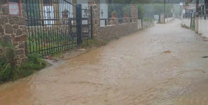 Screenshot 20251105 140501 gallery 1200x609