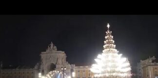 Λισαβόνα: Μπήκε σε ρυθμούς γιορτών με γιγάντιο δέντρο και πυροτεχνήματα 359181