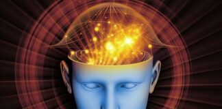 Εντοπίστηκαν οι «πέντε εποχές» του ανθρώπινου εγκεφάλου Sinidisi 696x522