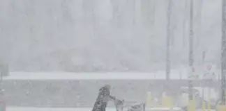 Ρεκόρ ψύχους στις ΗΠΑ: «Χιονοθύελλα λίμνης» στο Μίσιγκαν, παγωμένα ιγκουάνα στη Φλόριντα Usa snow x.jpg