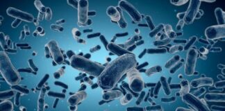 Αύξηση ανθεκτικών βακτηριακών λοιμώξεων αίματος στην Ευρώπη από γήρανση πληθυσμού Vaktiria