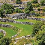 Ο ΚΟΑΠ ολοκλήρωσε τις πληρωμές για κατασκευή και επιδιόρθωση ξηρολιθιών σε αμπελώνες ΞΕΡΟΛΗΘΙΕΣ ID 1612827 768x512