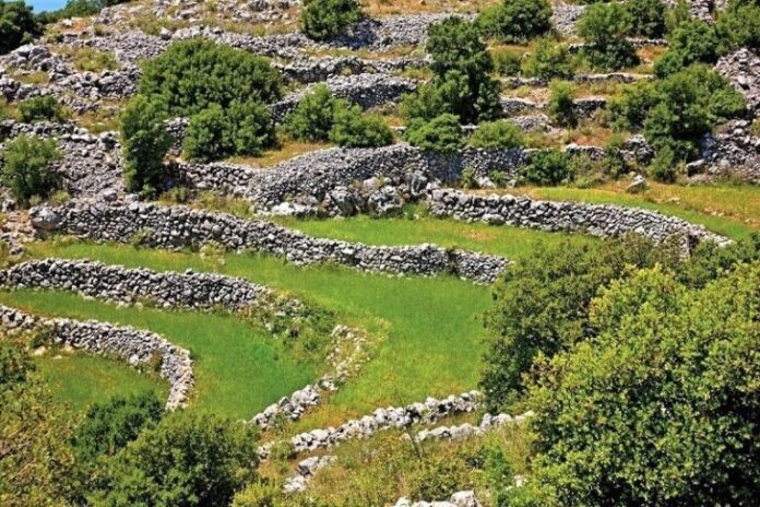 ΞΕΡΟΛΗΘΙΕΣ ID 1612827 768x512