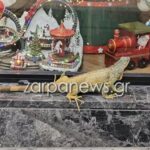 1000 5b59a327 b98f 4e74 bda9 822f335b2e82