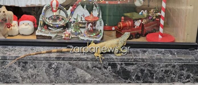 1000 5b59a327 b98f 4e74 bda9 822f335b2e82