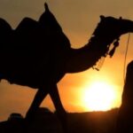 1000 c6ed8aca 9581 456a 9be1 610fc1753f3b