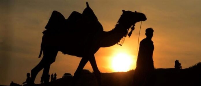 1000 c6ed8aca 9581 456a 9be1 610fc1753f3b