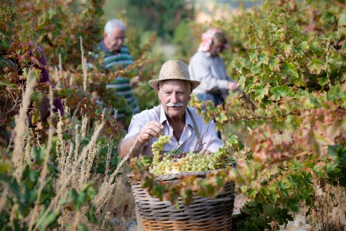 10122025 Yf. Politismou