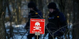 Εντοπίστηκε στο Τσερνόμπιλ ζωή που μεταλλάχθηκε για να επιβιώνει χρησιμοποιώντας την ακτινοβολία 1837448 696x435