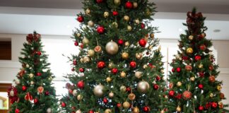 Γιορτινός Δεκέμβριος στο Columbia Beach Resort COLUMBIA BEACH RESORT XMAS 4 (002)