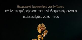 Δημιουργικό Εργαστήριο για ενήλικες – Τα Γλυκά Κεράσματα των Χριστουγέννων στο Πολιτιστικό Ίδρυμα Τραπέζης Κύπρου Melomakarona event BOCCF