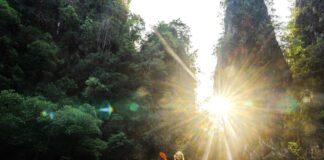 Ένα ταξίδι, αμέτρητοι προορισμοί με το Emirates Asia Pass Cheerful woman sea kayaking among karst formations and mangrove forest on Krabi