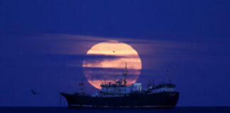 Η τελευταία υπερπανσέληνος του 2025 φωτίζει τον ουρανό της Χιλής Screenshot 2025 12 08