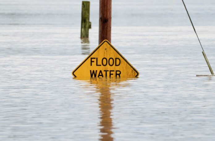 Screenshot 2025 12 15