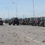 Agrotesmalgara eurokinissi.jpg