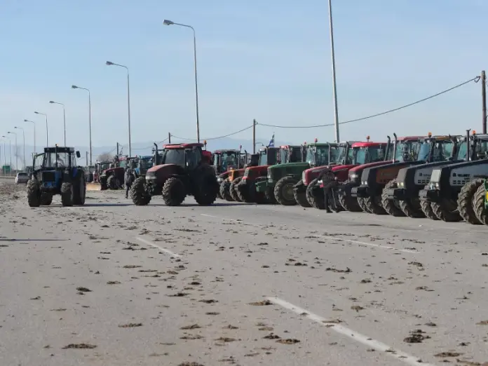 Agrotesmalgara eurokinissi.jpg