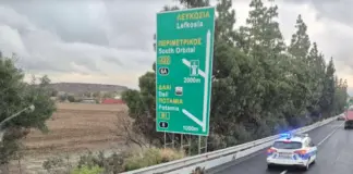 ΒΙΝΤΕΟ: Αγέλη σκύλων στον αυτοκινητόδρομο Autokinitodromo skyloi