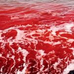 Blood rain2 1200x669