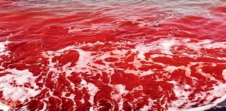 Η βροχή βάφτηκε κόκκινη στο Ορμούζ του Ιράν Blood rain2 1200x669