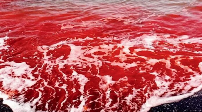 Blood rain2 1200x669