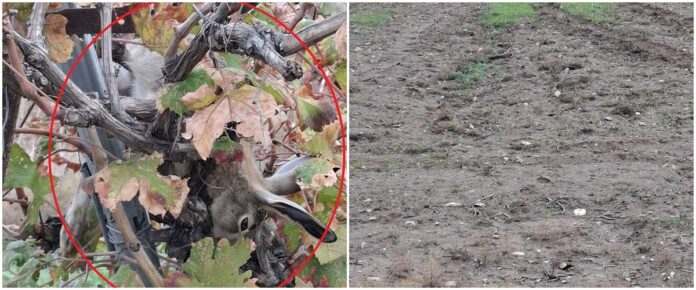 Cache 1300x500 Analog medium 1369061 628080 25 12 22