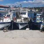 Φωτιά σε ελλιμενισμένο σκάφος στην Πάφο Cache 500x500 9510222 4749258