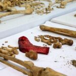 Κοινή επίσκεψη Χριστοδουλίδη-Ερχιουρμάν στο ανθρωπολογικό εργαστήριο της ΔΕΑ Dea anuropologiko