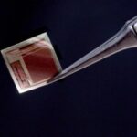 Μικροσκοπικό εμφύτευμα υπόσχεται σύνδεση του ανθρώπινου εγκεφάλου με την τεχνητή νοημοσύνη Emfiteumatexnitinoimosini