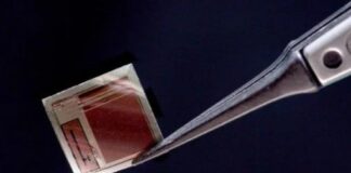 Μικροσκοπικό εμφύτευμα υπόσχεται σύνδεση του ανθρώπινου εγκεφάλου με την τεχνητή νοημοσύνη Emfiteumatexnitinoimosini