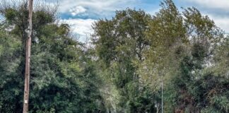 Διπλό φονικό στη Φοινικούντα: Συνελήφθησαν ο ανιψιός του ιδιοκτήτη και επιχειρηματίας φίλος του Foinokounta 696x522