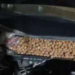 Fountoukia aytokinhto