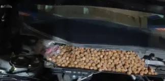 ΒΙΝΤΕΟ: Βρήκε κάτω από το καπό του αυτοκινήτου του πάνω 15 κιλά φουντούκια Fountoukia aytokinhto