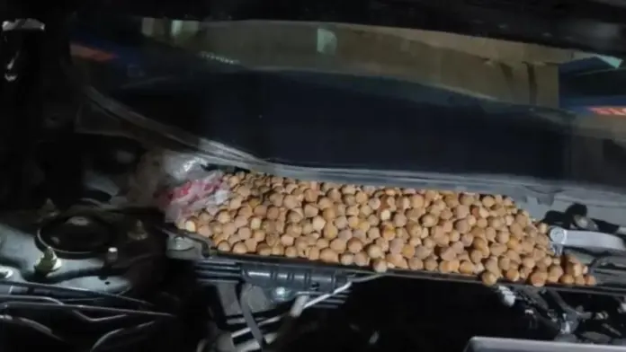 Fountoukia aytokinhto